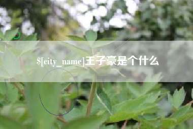 高唐王子豪是个什么