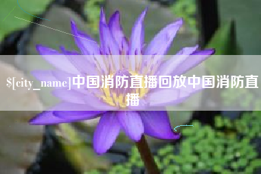 高唐中国消防直播回放中国消防直播