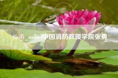 高唐中国消防救援学院张勇