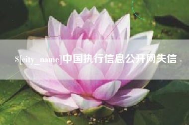 高唐中国执行信息公开网失信