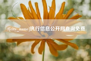 高唐执行信息公开网查询免费