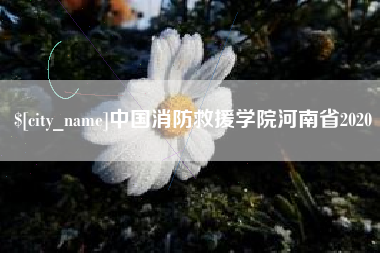 高唐中国消防救援学院河南省2020